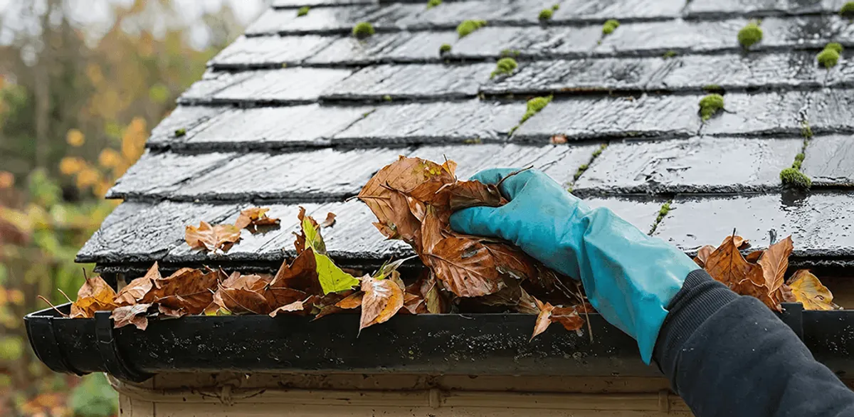 Gutter cleaning technician clearing wet leaves from roof gutters in Birmingham, AL